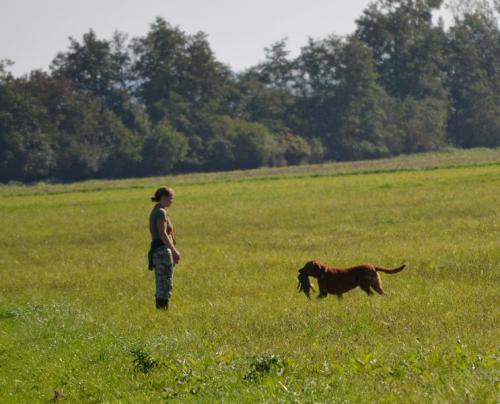 Nicky - podzimní zkoušky 28.9.2014